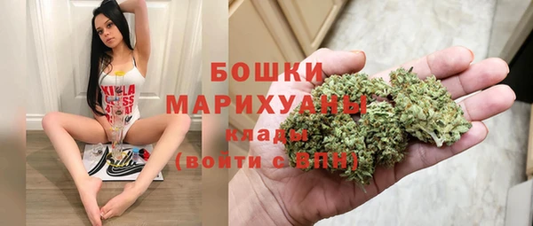 2c-b Бородино
