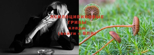 спайс Богородск