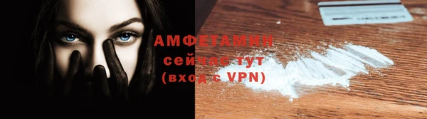стаф Богданович