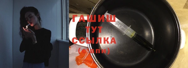 стаф Богданович