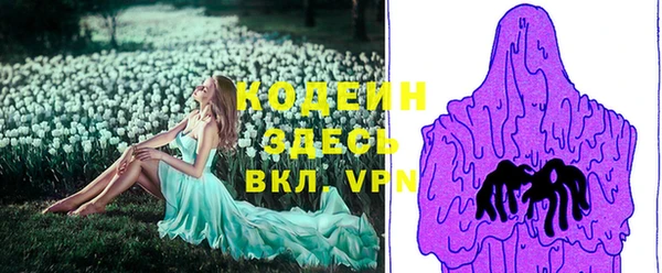 2c-b Бородино