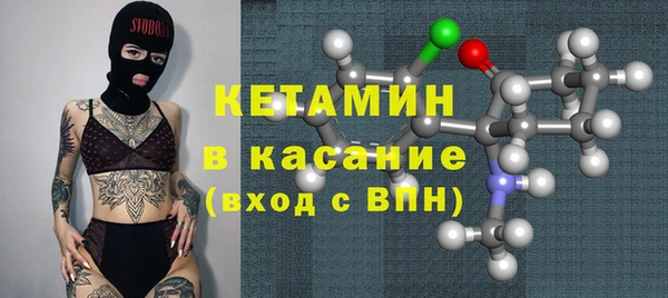 стаф Богданович