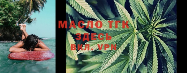 2c-b Бородино