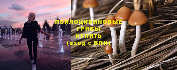 спайс Богородск