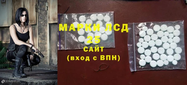 стаф Богданович